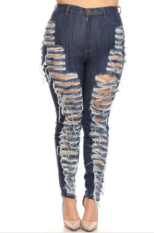 Plus Size High Rise Jeans